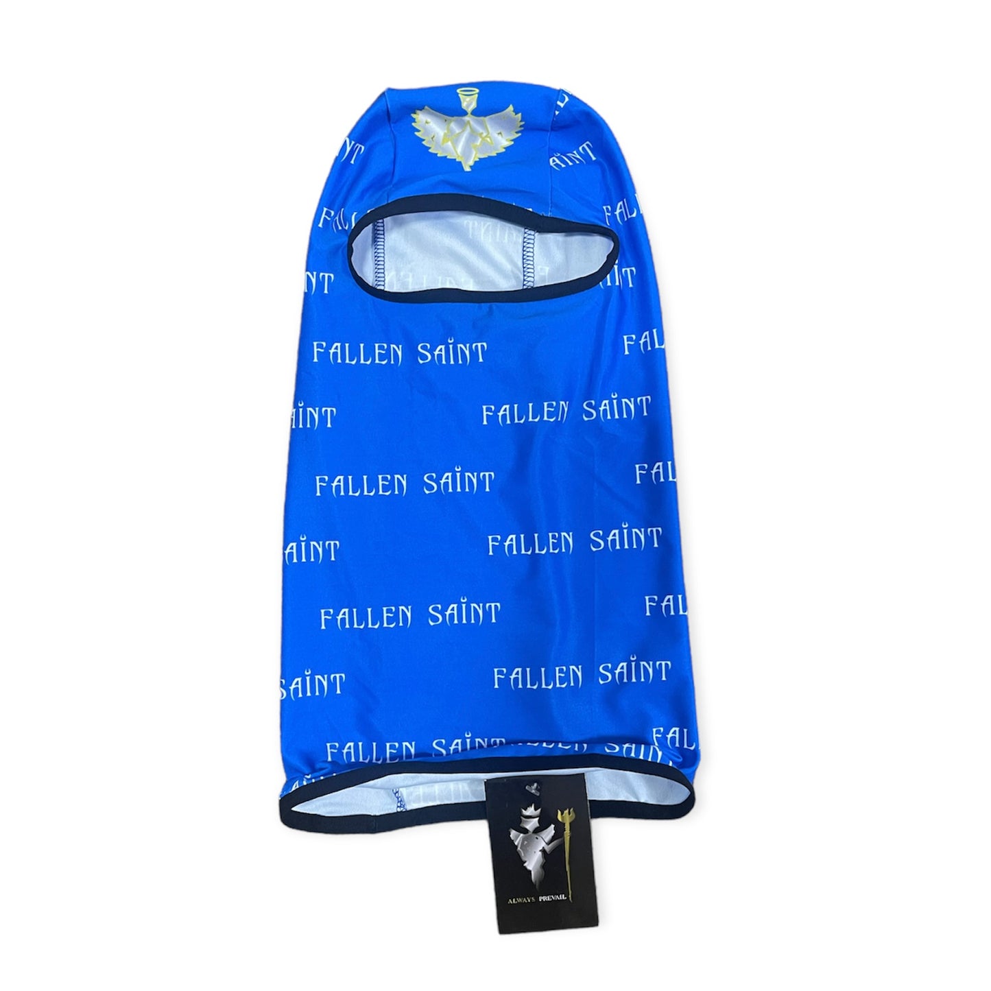 Blue Biker Mask